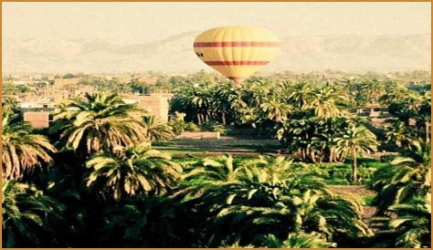 Aubree Wyatt Autopsy: Unraveling The Mystery Behind Her Untimely Death